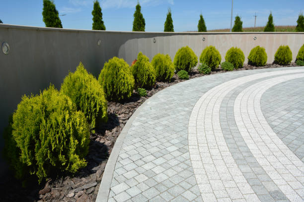 Best Local Driveway Pavers  in Brentwood, MO